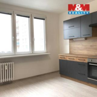 Pronájem bytu 1+1 36 m² Litvínov