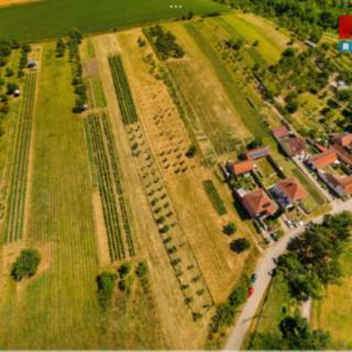 Prodej stavební parcely 7835 m² Borkovany