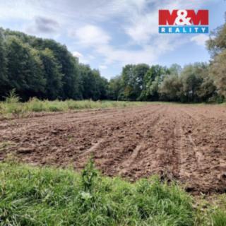 Prodej zemědělské půdy 5 882 m² Libořice