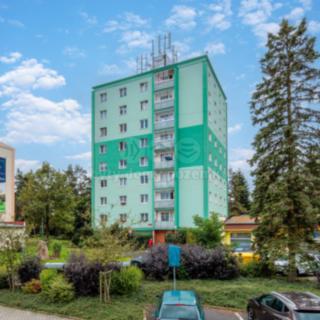 Prodej bytu 3+1 58 m² Rotava, Sídliště