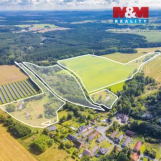 Prodej zemědělské půdy 238031 m² Přimda
