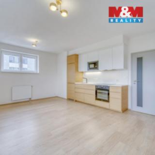 Pronájem bytu 1+kk a garsoniéry 34 m² Heřmanova Huť Vlkýš, U Pondu
