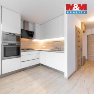 Prodej bytu 1+1 41 m² Brno Bystrc, Ečerova