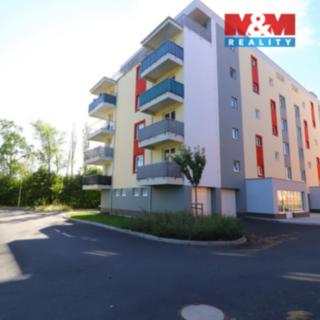 Pronájem bytu 2+kk 39 m² Nová Role, Svobodova