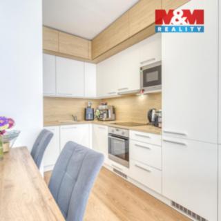Prodej bytu 2+kk 54 m² Plzeň Jižní Předměstí, Inženýrská
