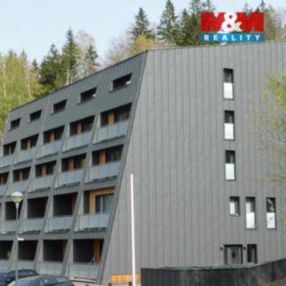 Pronájem bytu 1+kk a garsoniéry 25 m² Janov nad Nisou