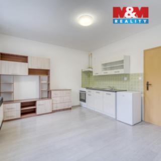 Pronájem bytu 1+kk a garsoniéry 28 m² Štěnovice, Čižická