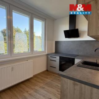 Pronájem bytu 3+1 74 m² Veselí nad Lužnicí I, Blatské sídliště