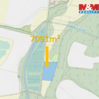 Prodej louky 7 091 m² Hrabětice