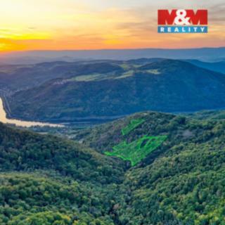 Prodej lesa 23 067 m² Ústí nad Labem Sebuzín