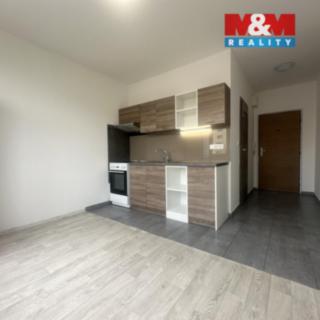 Pronájem bytu 1+1 36 m² Chomutov, Písečná