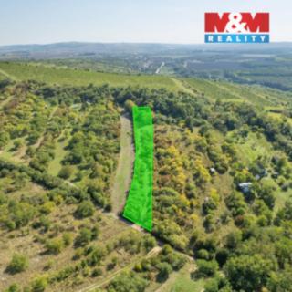 Prodej zahrady 3 718 m² Židlochovice