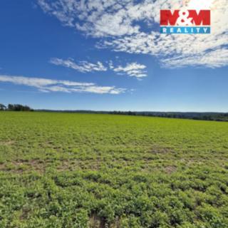 Prodej zemědělské půdy 9 873 m² Dobronice u Bechyně