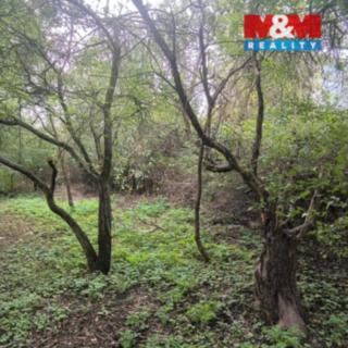 Prodej zahrady 766 m² Obrnice, Mírová