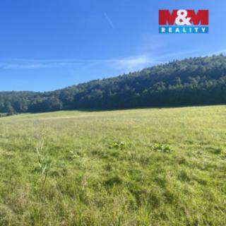 Prodej stavební parcely 4 460 m² Střílky