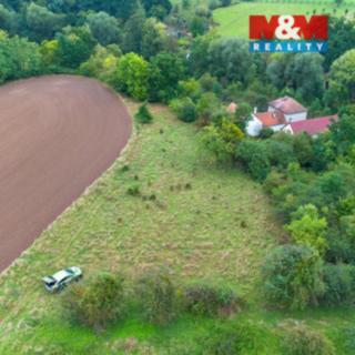 Prodej zemědělské půdy 700 m² Žleby Zehuby