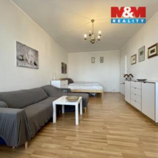Pronájem bytu 1+1 38 m² Teplice, Alejní