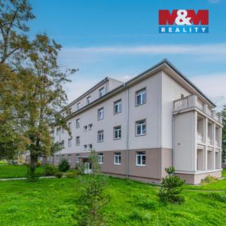 Prodej bytu 3+kk 55 m² Milovice Mladá, Slepá