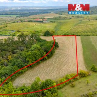 Prodej zemědělské půdy 11 093 m² Roudnice nad Labem