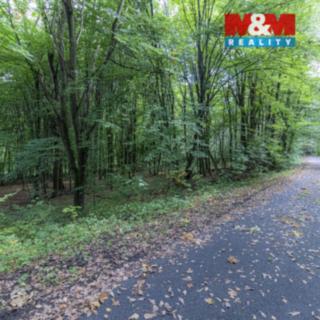 Prodej zahrady 10 316 m² Kostelec nad Černými lesy