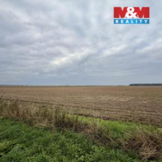 Prodej zemědělské půdy 55 680 m² Slavětín nad Metují