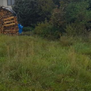 Prodej komerčního pozemku 1 782 m² Nechvalice