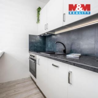 Prodej bytu 1+kk a garsoniéry 35 m² Hradec Králové Slezské Předměstí, Třebechovická