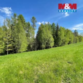 Prodej louky 1 828 m² Ruda nad Moravou Hrabenov