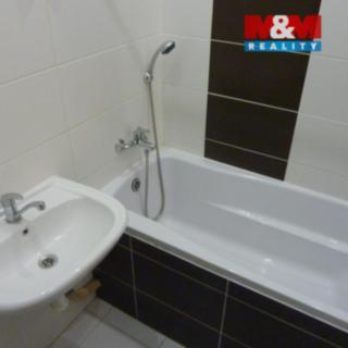 Pronájem bytu 1+1 45 m² Ostrava