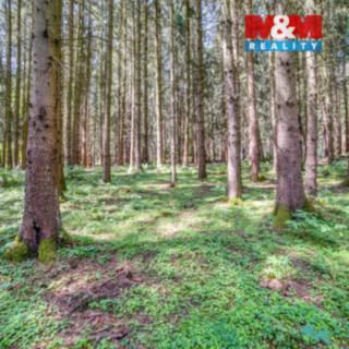 Prodej lesa 6 098 m² Močerady Nové Dvory
