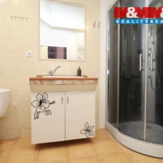 Pronájem bytu 1+1 35 m² Karlovy Vary Rybáře, Sokolovská