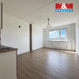 Prodej bytu 1+kk a garsoniéry 25 m² Karlovy Vary Rybáře, U Koupaliště