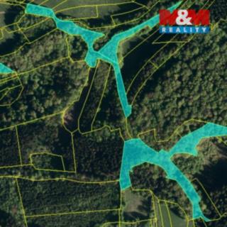 Prodej lesa 10226 m² Lužná