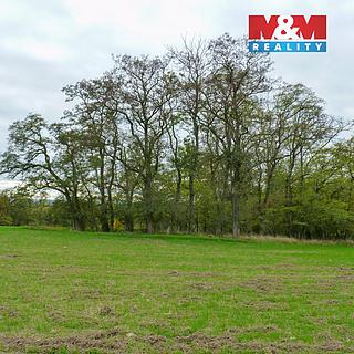 Prodej lesa 1252 m² Drahobuz