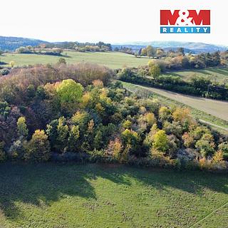 Prodej zemědělské půdy 4 731 m² Milešov