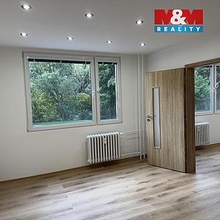 Pronájem bytu 1+1, 46m²