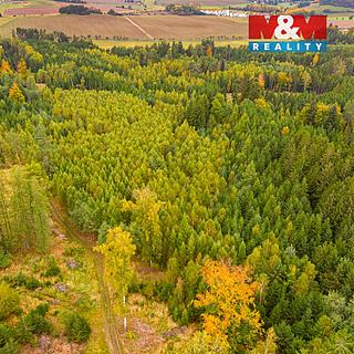 Prodej lesa 12446 m² Černíkov