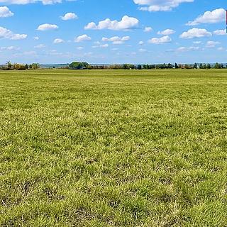 Prodej zemědělské půdy 9 779 m² Dolní Roveň Komárov