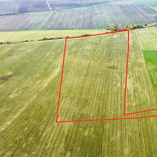 Prodej zemědělské půdy 34 382 m² Dolní Roveň Komárov