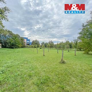 Prodej zemědělské půdy, 707m²