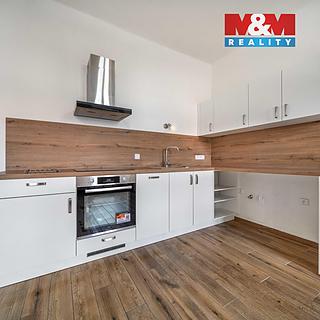 Pronájem bytu 1+kk a garsoniéry 24 m² Plzeň Východní Předměstí