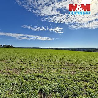 Prodej zemědělské půdy 9 873 m² Dobronice u Bechyně