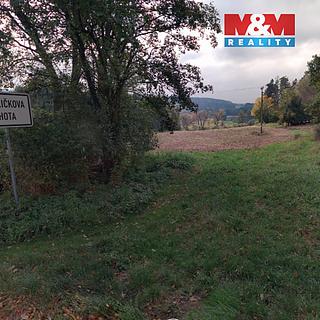 Prodej zemědělské půdy 6129 m² Petrovice