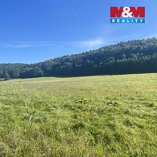 Prodej stavební parcely 4 460 m² Střílky