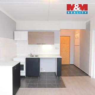 Pronájem bytu 1+1 36 m² Cheb
