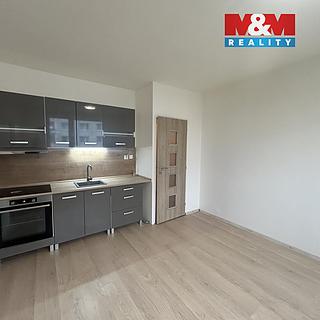 Pronájem bytu 1+1 35 m² Ústí nad Labem Střekov, Nová