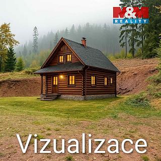 Prodej stavební parcely 2 024 m² Červená Voda Horní Orlice
