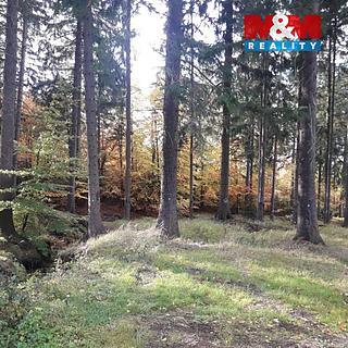 Prodej lesa 12970 m² Manětín