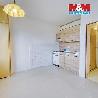 Pronájem bytu 1+1 39 m² Horní Bříza, Komenského