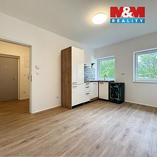 Prodej bytu 1+kk a garsoniéry 23 m² Ostrov, Sukova